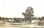 Looking south west From Poverty Reef, Tarnagulla c 1920