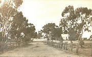Looking East along Wayman Street, Tarnagulla c 1920
