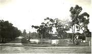 King Street, Tarnagulla, looking east from Gladstone Street. The rear of the Victoria Hotel and Theatre can be seen beyond the Company's Dam.