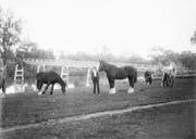 Laanecoorie Bridge, 1911