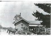 Police Residence, Tarnagulla, 1925.
From the Mary Dridan Collection